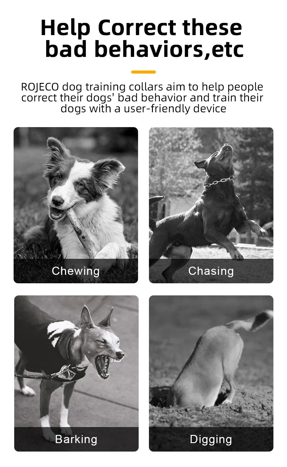 ROJECO Rechargeable Dog Training Collar with Remote